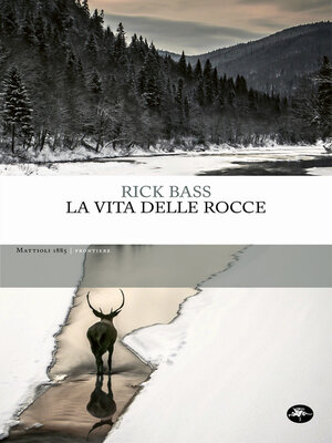 cover image of La vita delle rocce